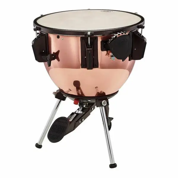 Adams 23" 2PAUFKG23D FS German Schneller Versand