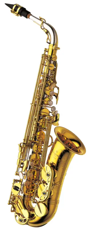 Begrenztes Angebot YANAGISAWA Altsaxophon A-WO30 Elite