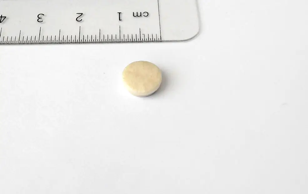 Saisonangebot Polster Klarinette Martin Chanu Fischhaut 9,5 mm