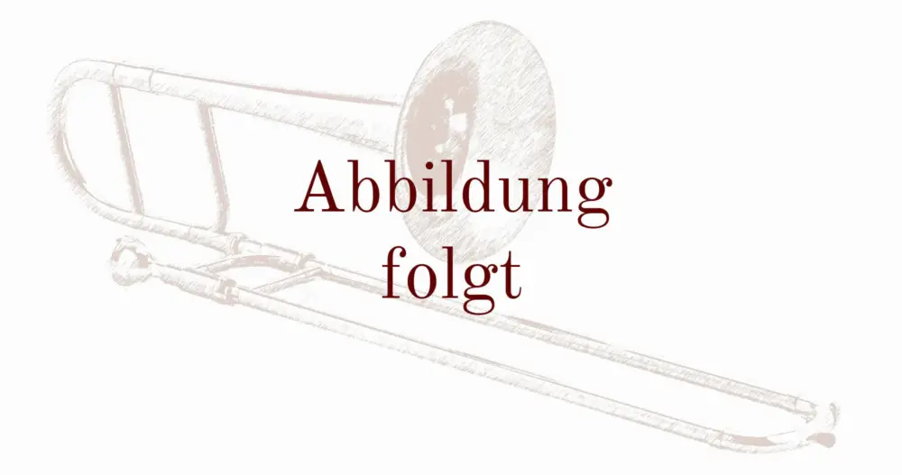 K&H-Es/B-Altposaune Orchestra alto, incl. geb. Zugsteg, G NZ Sofort Bestellen