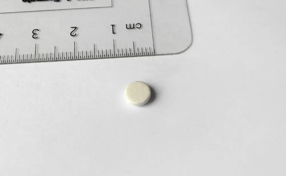 Polster Klarinette, Waterproof 6,0 mm Top-Seller