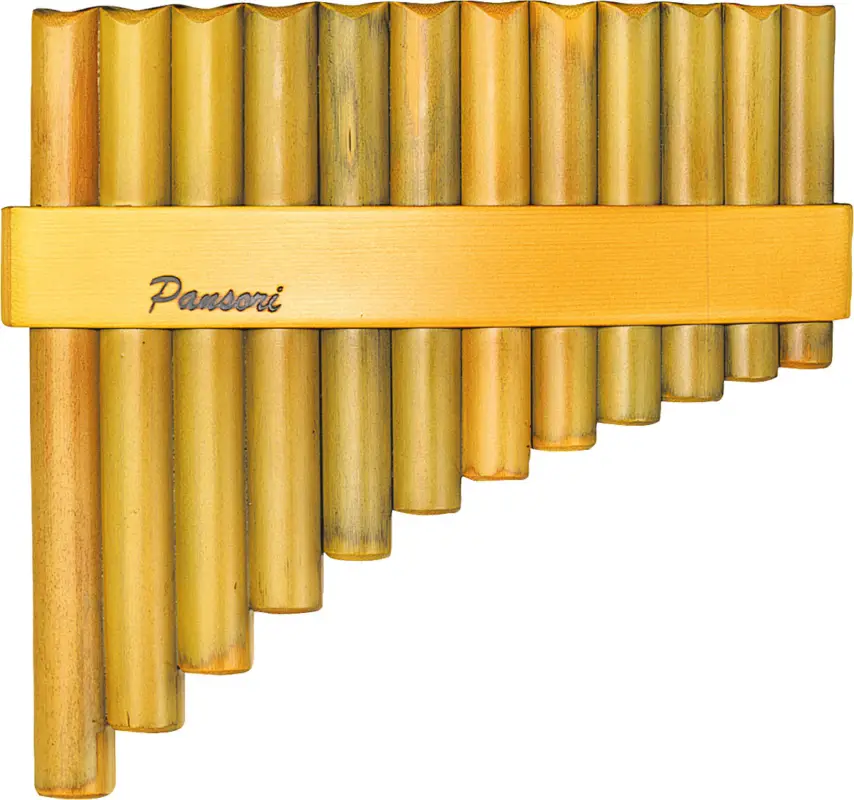 aS Panflöte Semi Pro 12 Rohre Angebot